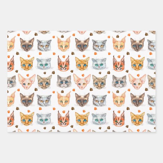 Set zum Wrapping von Katzen und Paws (3) Geschenkpapier Set (Vorderseite)