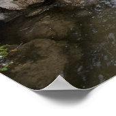 Setagaya Park Poster (Ecke)