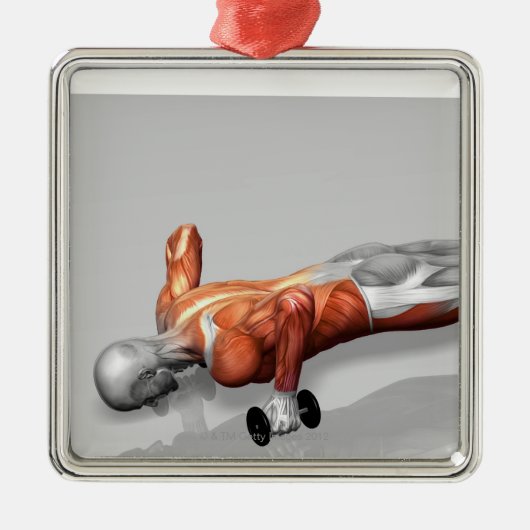 Setanta drücken 4 hoch silbernes ornament (Vorne)