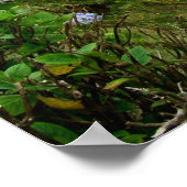 Sete Cidades, Azoren Poster (Ecke)