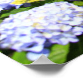 Sete Cidades, Azoren Poster (Ecke)