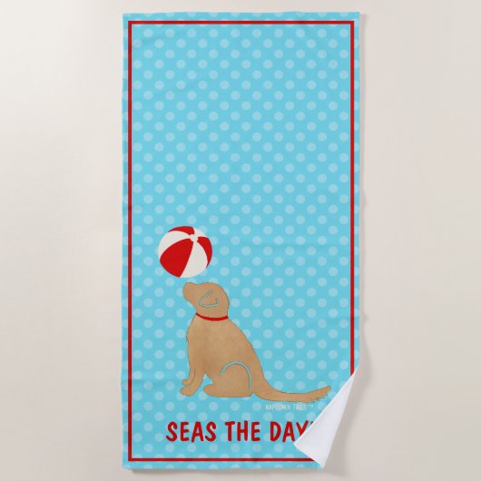 Sethe Day Golden Retriever Aqua Beachball Handtuch (Vorderseite)
