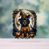 Setter Dog Halloween Square Acrylschild (Neutral)
