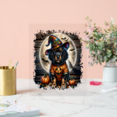 Setter Dog Halloween Square Acrylschild (Hochzeit)