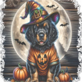 Setter Dog Halloween Square Aufkleber (Vorderseite)