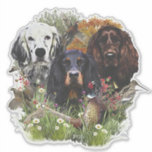 Setter-Familie