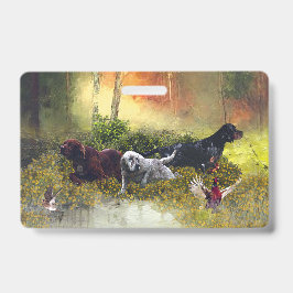 Setter-Familie Ausweis