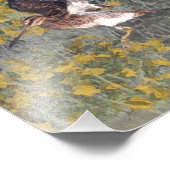 Setter-Familie Fotodruck (Ecke)