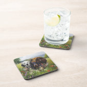 Setter-Familie Getränkeuntersetzer (Rechte Seite)