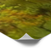 Setter-Familie Poster (Ecke)