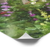 Setter-Familie Poster (Ecke)