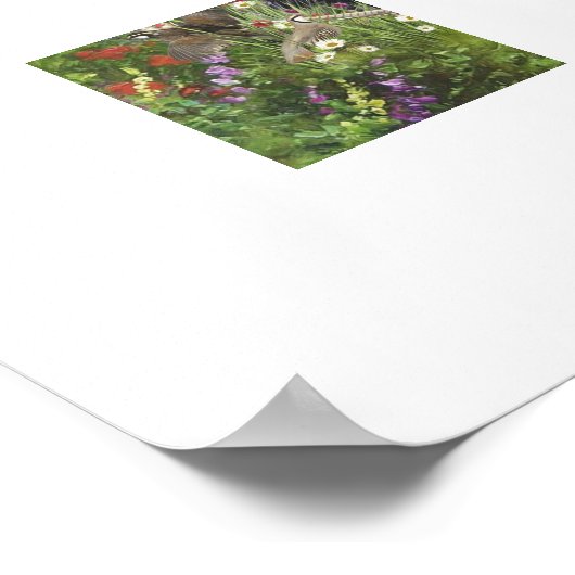 Setter-Familie Poster (Ecke)