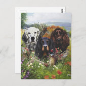 Setter-Familie Postkarte (Vorne/Hinten)