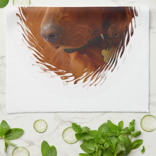 Setter-Geschirrtuch Küchentuch (Gefaltet)