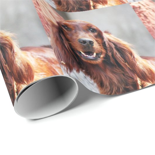 Setter-Hund Geschenkpapier (Rolleneckpunkt)