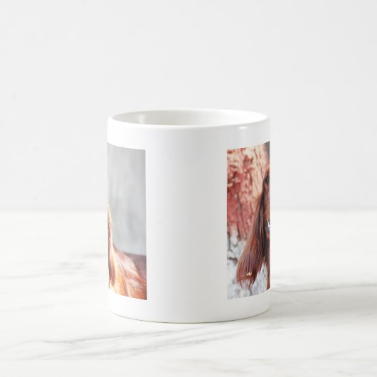 Setter-Hund Kaffeetasse (Mittel)