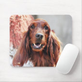 Setter-Hund Mousepad (Mit Mouse)