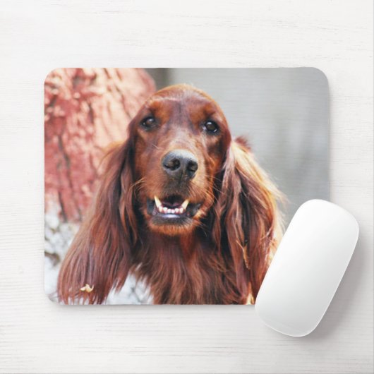 Setter-Hund Mousepad (Mit Mouse)