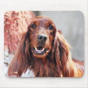 Setter-Hund Mousepad