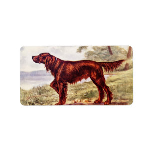 Setter-Illustration 1900 des sportlichen Hundes Adressaufkleber