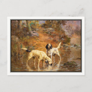 Setter in einem kühlenden Bach von Percival Rossea Postkarte
