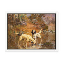 Setter in einem kühlenden Bach von Percival Rossea