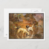 Setter in einem Kühlstrahl nach Percival Rosseau Postkarte (Vorne/Hinten)
