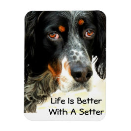 Setter Liebe Foto Magnet