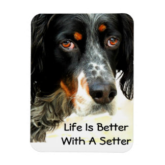 Setter Liebe Foto Magnet