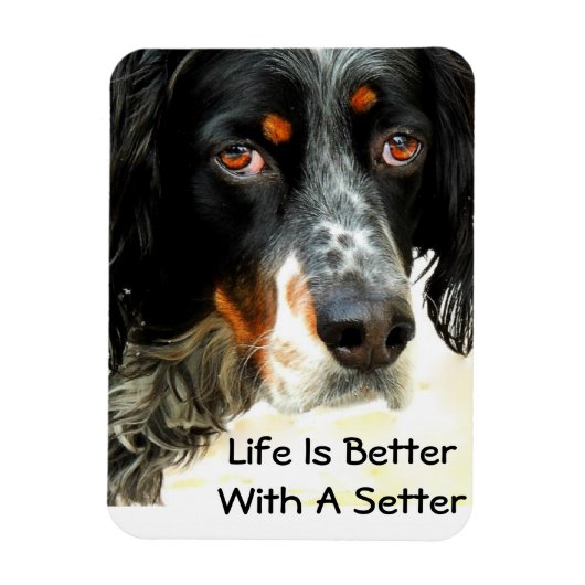 Setter Liebe Foto Magnet (Vertikal)