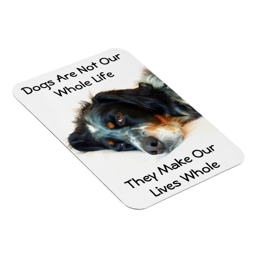 Setter Liebe Foto Magnet (Rechte Seite)