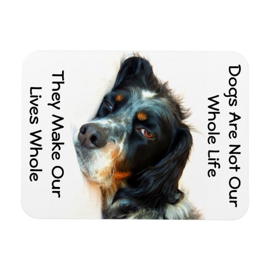 Setter Liebe Foto Magnet (Horizontal)