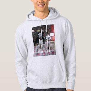 Setter Liebe Sweatshirt