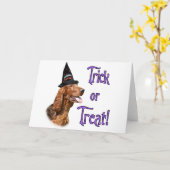 Setter-Trick Karte (Gelbe Blume)