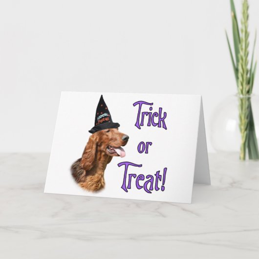 Setter-Trick Karte (Vorderseite)