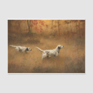 Setters in einem Feld des Percival Leonard Rosseau Seidenpapier