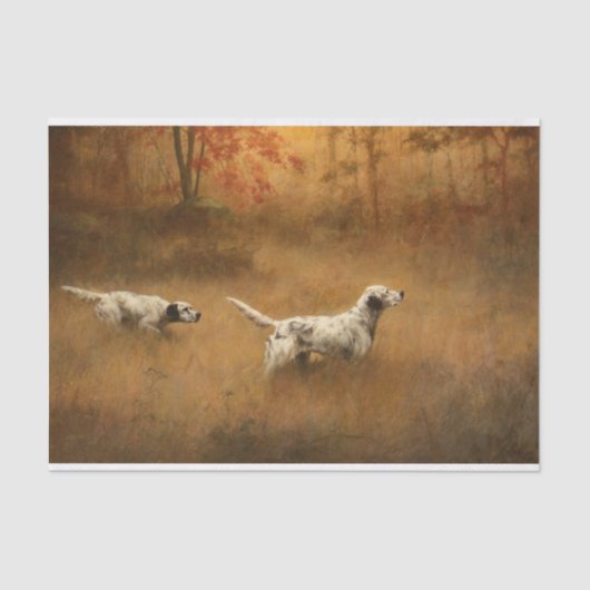 Setters in einem Feld des Percival Leonard Rosseau Seidenpapier (Vorderseite)