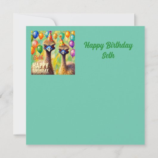 SETUP ~ Geburtstagskarte ~ Emus ~ (Rückseite)