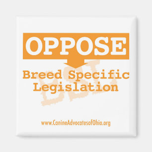 Setzen Sie BSL quadratischem Magneten entgegen Magnet