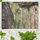 Setzen Sie Ihr Baby auf ein mojo Handtuch (Gefaltet)