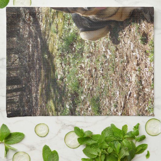 Setzen Sie Ihr Baby auf ein mojo Handtuch (Gefaltet)