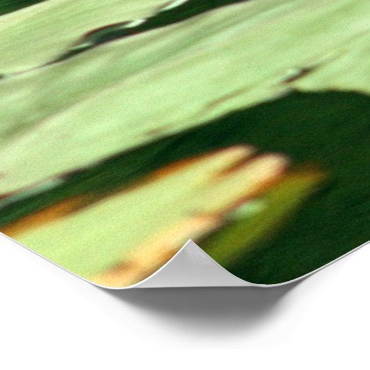 Setzen und Wasserlilien sein Poster (Ecke)