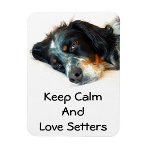 Setzer-Liebe-Foto-Magnet Magnet