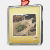 Seufzer. Iz bohrte Silbernes Ornament (Links)
