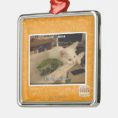 Seufzer. Iz bohrte Silbernes Ornament (Links)