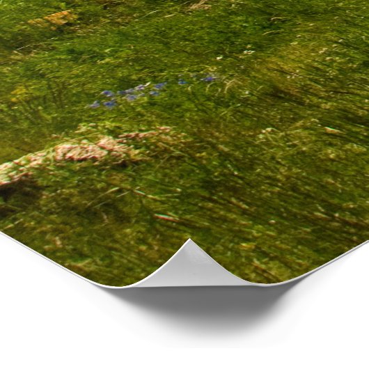 Sevan Kloster Landschaft Poster (Ecke)