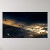 Seven Bird Vision, Bob Orsillo Poster (Vorne)