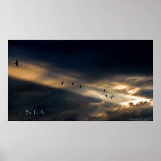 Seven Bird Vision, Bob Orsillo Poster (Vorne)