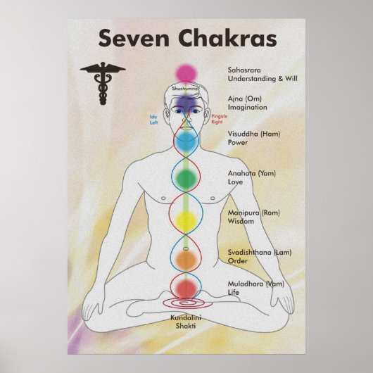 Seven Chakras Diagramm Poster (Vorne)
