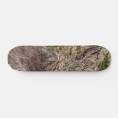 Seven Falls Colorado Skateboard (Horizontal)